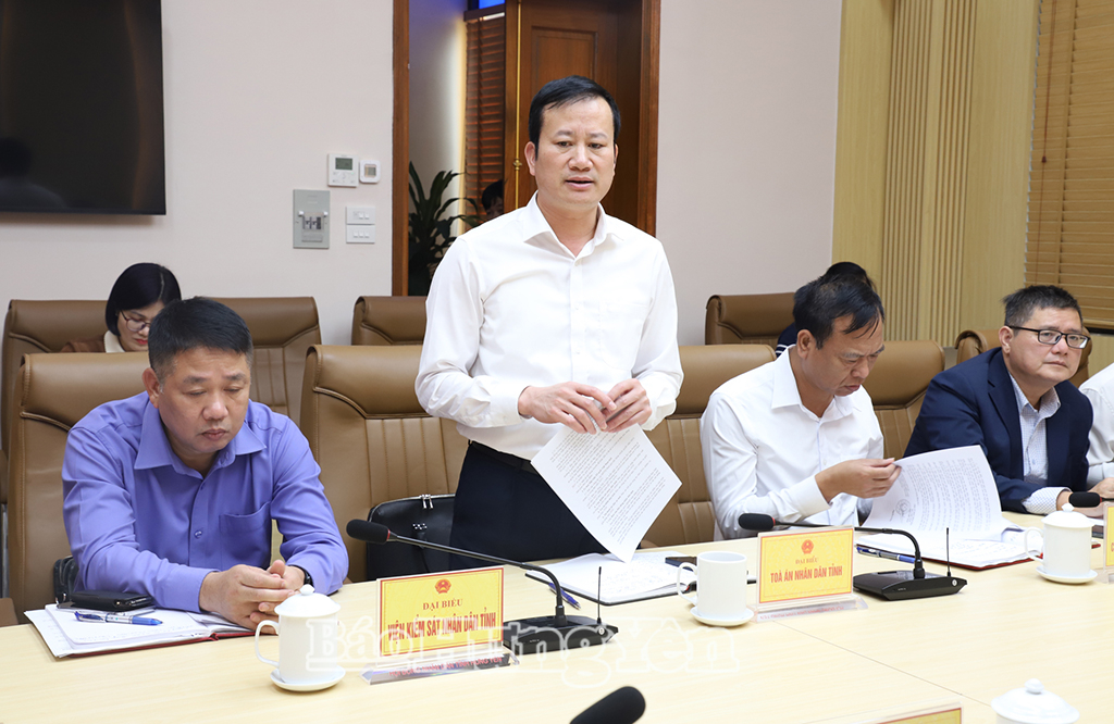 Lãnh đạo Tòa án nhân dân tỉnh phát biểu tại hội nghị.