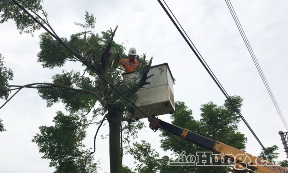 Đội Quản lý điện lực khu vực Đông Hưng phát quang hành lang lưới điện.