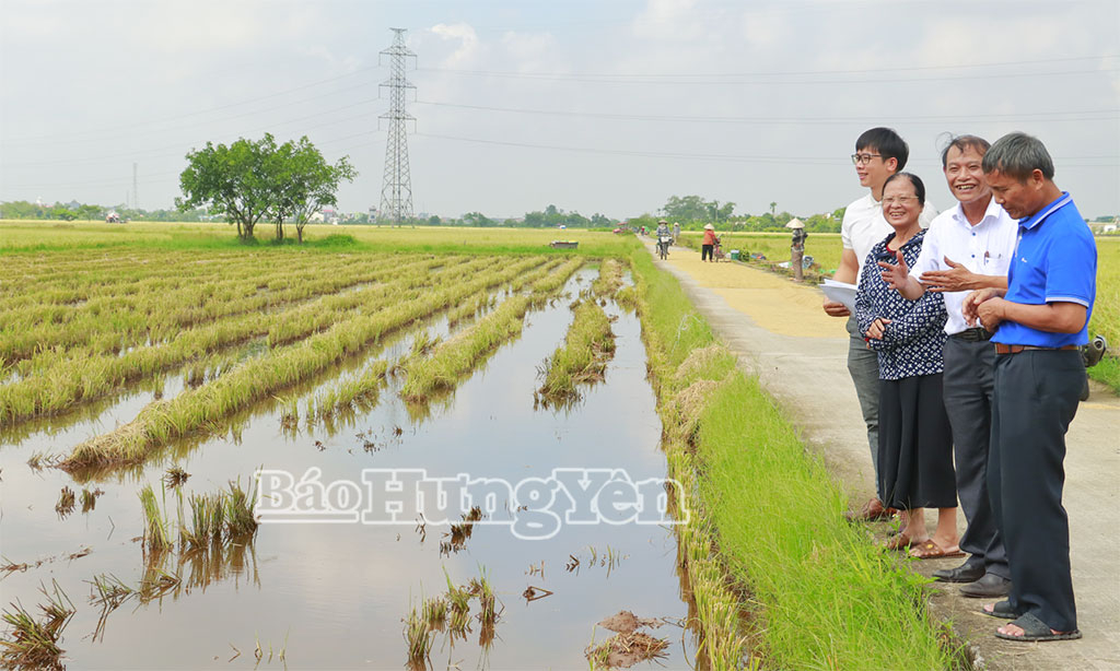 Người dân thôn Cổ Xá, xã Đông Tiên Hưng đồng thuận bàn giao đất nông nghiệp thực hiện cụm công nghiệp Phong Châu.