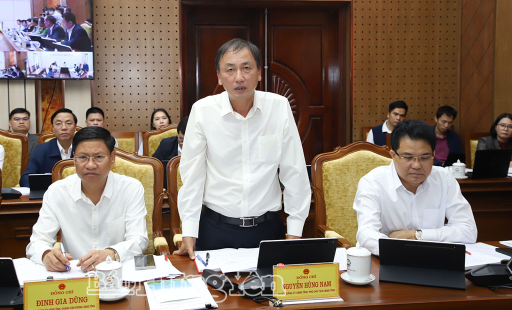 Đồng chí Phó Chủ tịch UBND tỉnh Nguyễn Hùng Nam phát biểu tại phiên họp và hội nghị.