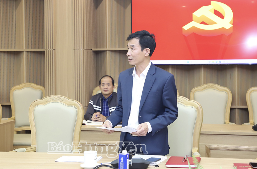 Đại diện Thống kê tỉnh phát biểu tại buổi làm việc.