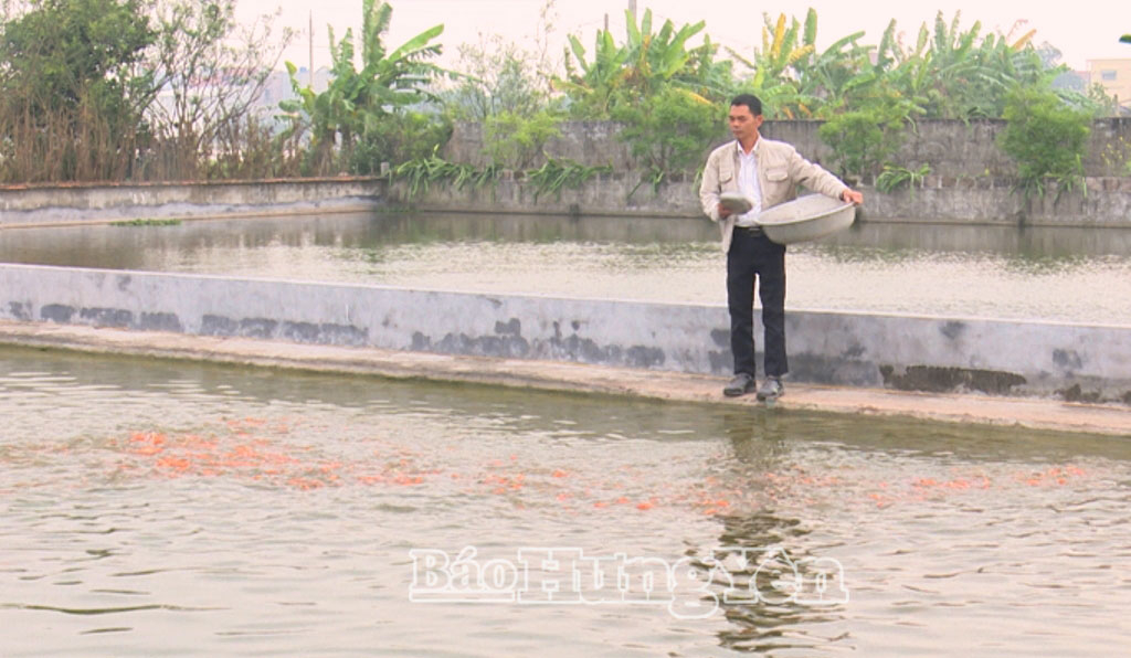 Ông Ngô Thanh Tuấn, ở xã Hồng Vũ bổ sung thức ăn cho cá trong những ngày giá rét mùa đông.