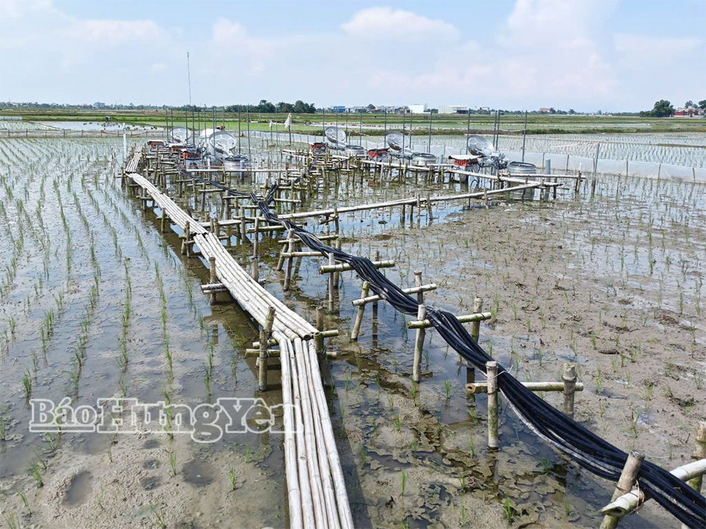 Dự án “Thiết lập phương pháp đo thực địa để mô hình hóa tính toán, dự báo phát thải khí nhà kính trong canh tác lúa ở Việt Nam giai đoạn 2