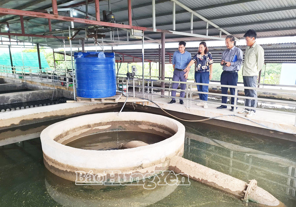 Kiểm tra hoạt động đo lường trong sản xuất, kinh doanh nước sạch tại Công ty Cổ phần Xây dựng và Kinh doanh nước Hoàng Hải.