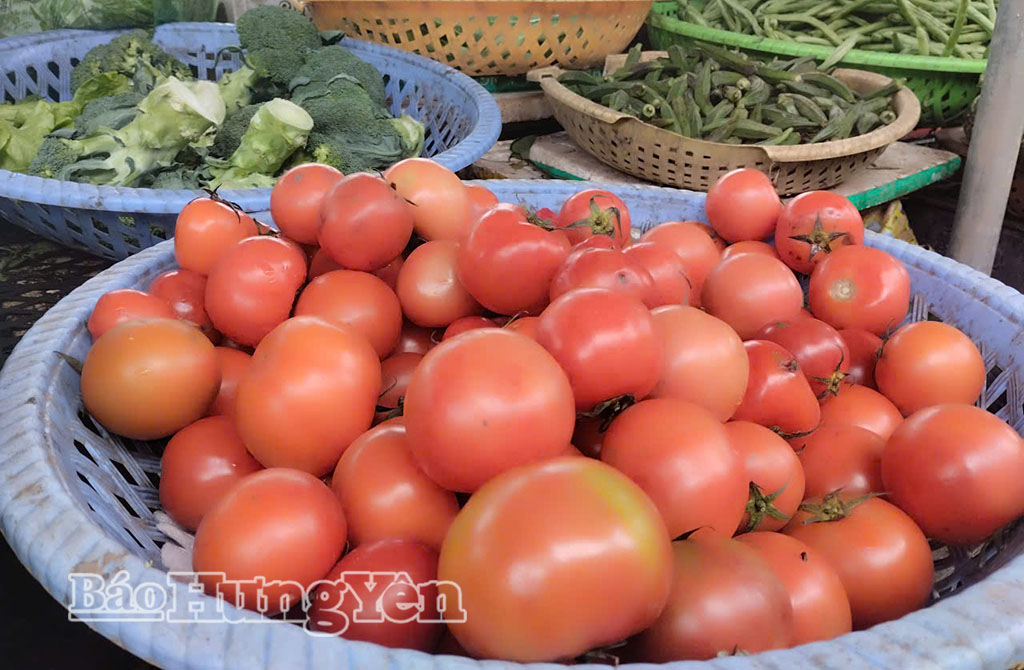 Giá cà chua lên đến 50.000/kg tại các chợ ở Hưng Yên.