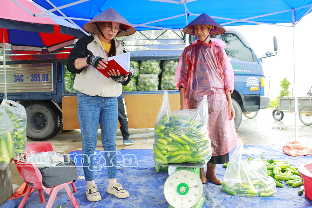 Giá rau cao, thương lái về tận ruộng thu mua nông sản cho bà con.