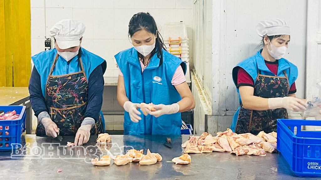 Kiểm tra sản phẩm tại Công ty TNHH Growfood, phường Mỹ Hào.