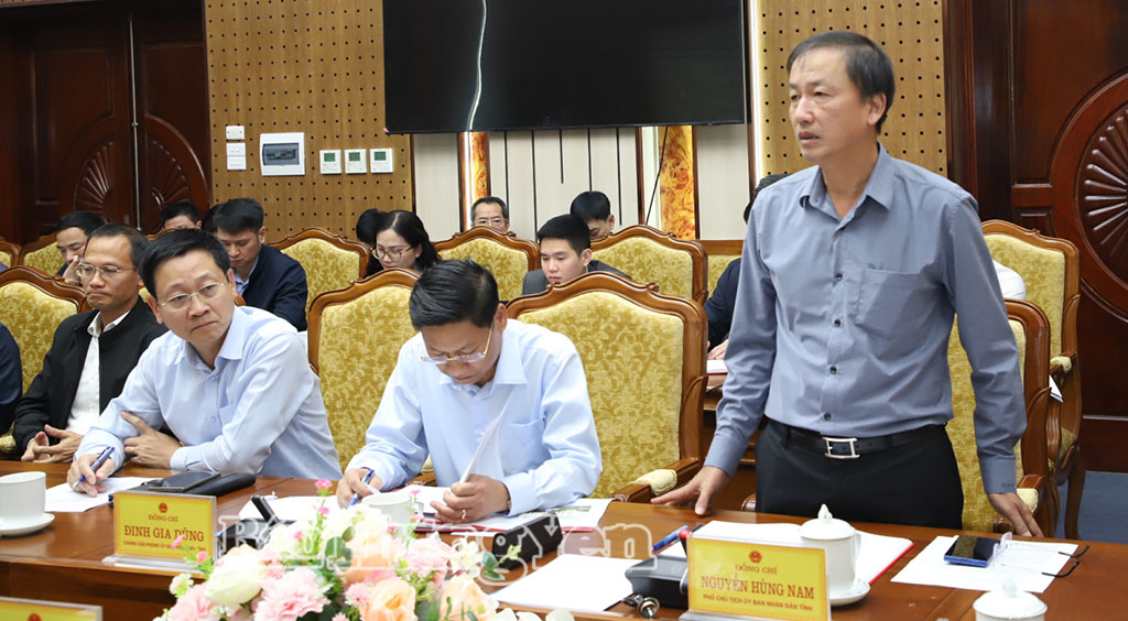 Đồng chí Phó Chủ tịch UBND tỉnh Nguyễn Hùng Nam phát biểu tại buổi làm việc.