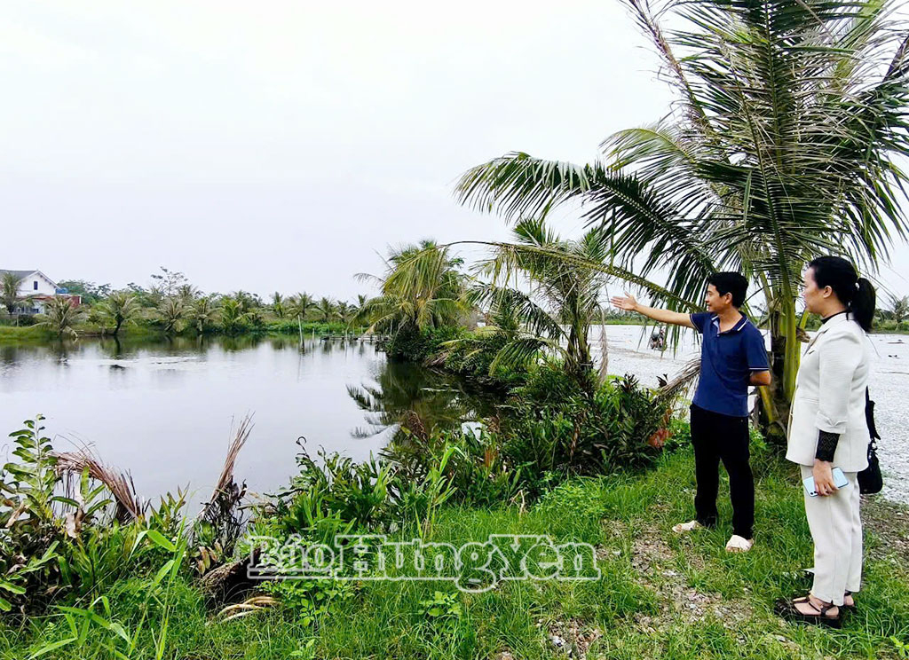 Ông Phạm Văn Thụy, ở thôn Tân Tiến (xã Đông Thái Ninh), đồng thuận bàn giao 300 m² đất thổ cư và 3.600 m² đất nông nghiệp phục vụ dự án Nhà máy nhiệt điện LNG Thái Bình.