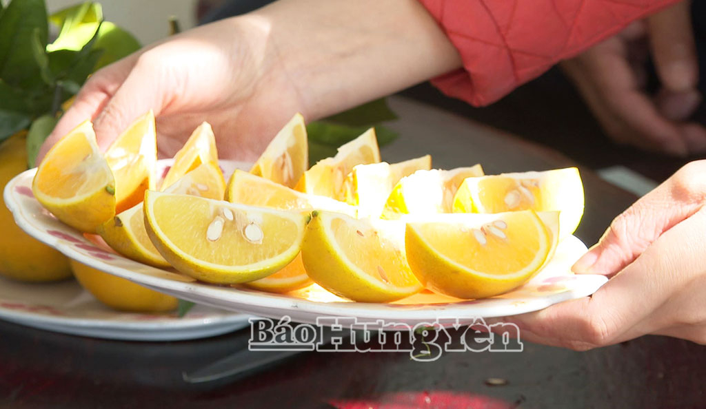 Cam Hưng Yên có màu vàng trong, vị ngọt thanh, được người tiêu dùng ưa chuộng.