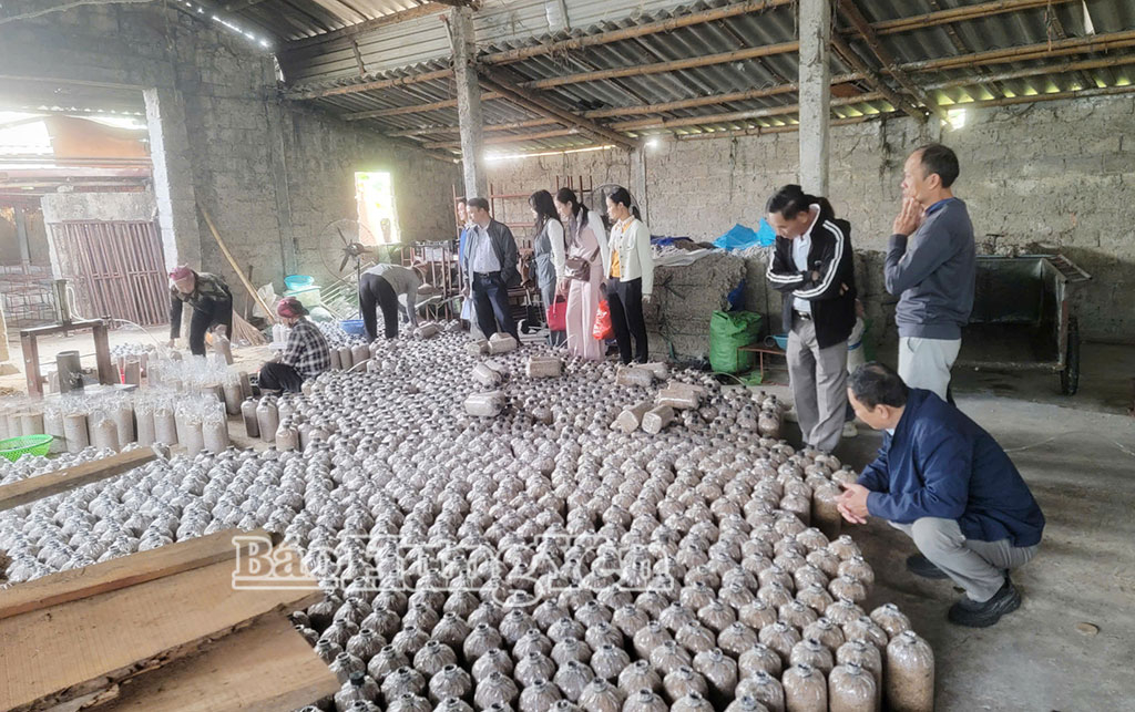 Các học viên đến thăm mô hình xử lý rơm rạ theo hướng kinh tế tuần hoàn, giảm phát thải tại xã Nguyễn Du.