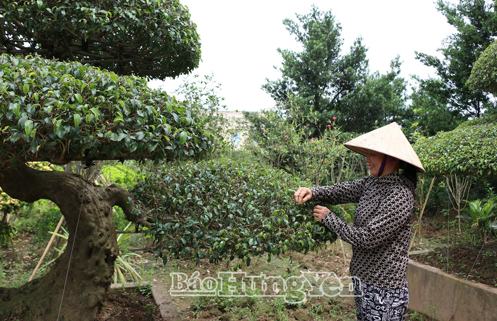 Nghề trồng hoa, cây cảnh giúp phụ nữ thôn Bách Tính, xã Tân Thuận nâng caothu nhập.