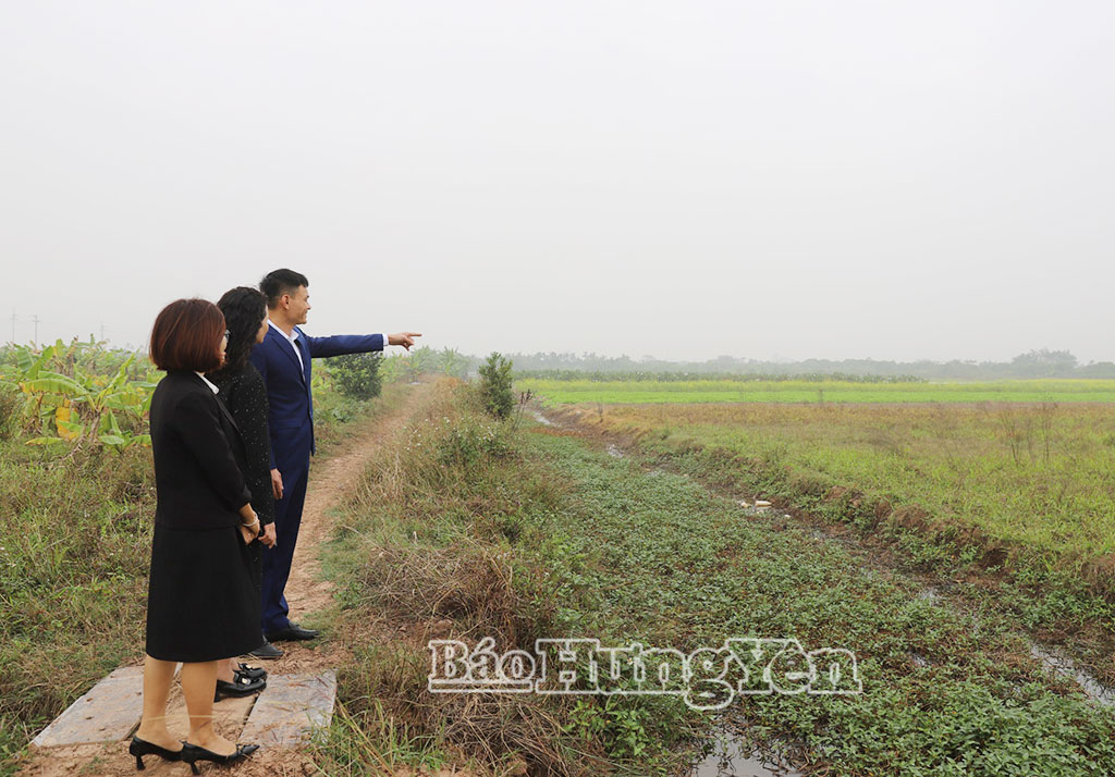 Thửa đất của Công ty TNHH thương mại và công nghệ Ngôi Sao Việt được UBND xã Triệu Việt Vương cấp Giấy chứng nhận quyền sử dụng đất.