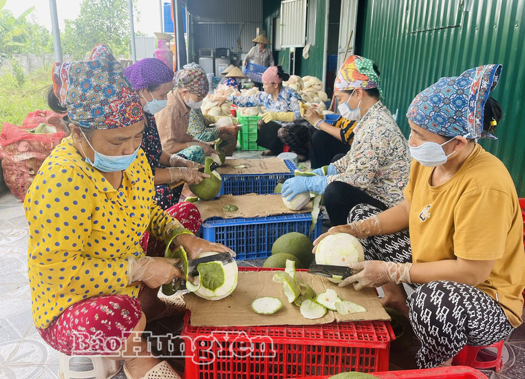 Cơ sở chế biến cùi bưởi của chị Đinh Thị Duyên, thôn Bổng Thôn, xã Hưng Hà. 