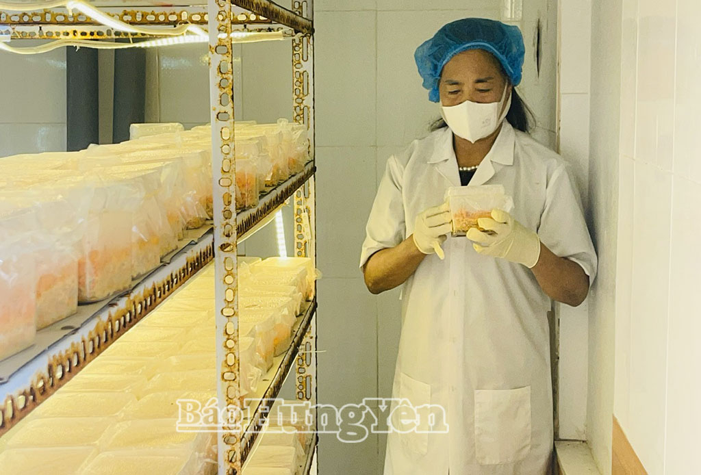 Bà Trần Thị Tính, Giám đốc HTX Phú Long, xã Hưng Hà kiểm tra đông trùng hạ thảo thô.