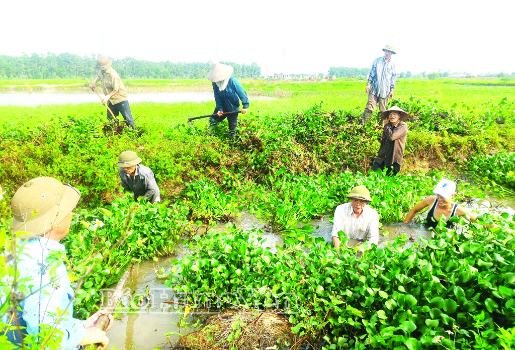 CCB phường Mỹ Hào tham gia giải tỏa vật cản dòng chảy bảo vệ môi trường và phục vụ sản xuất nông nghiệp.