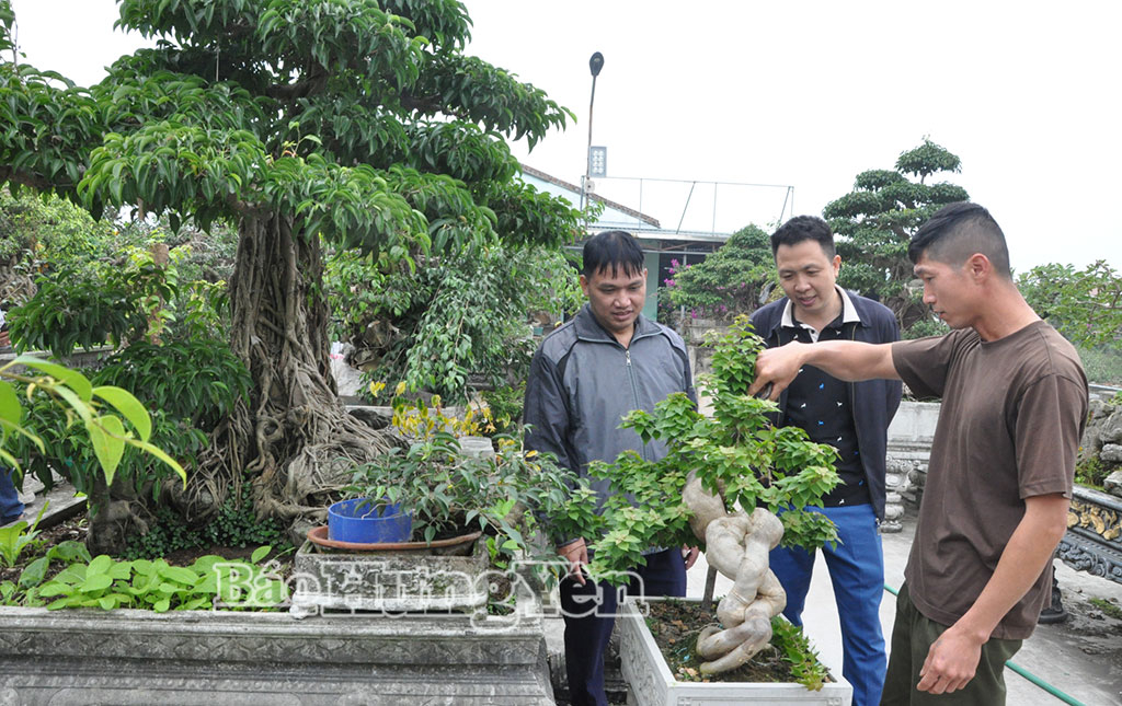  Hội viên Hội Nông dân xã Khoái Châu tham quan, học tập kinh nghiệm phát triển trang trại của anh Bá Ngọc Khánh, thôn kinh nghiệm phát triển trang trại của anh Bá Ngọc Khánh, thôn Cẩm Khê.
