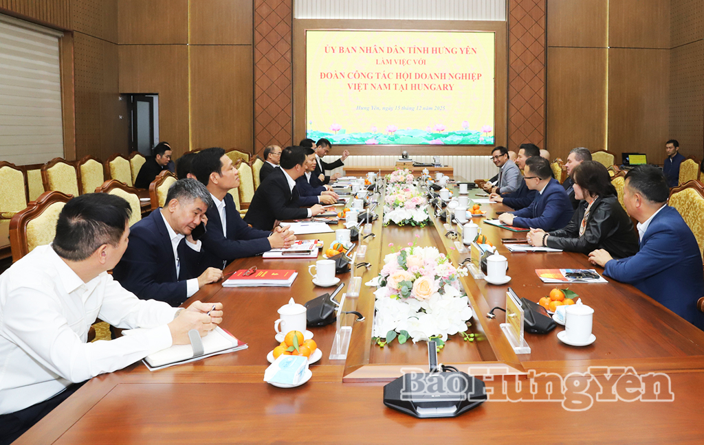 Các đại biểu tham dự buổi làm việc.