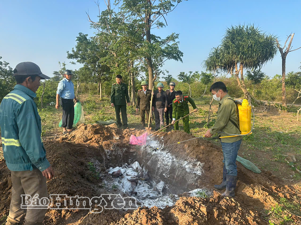 Lực lượng chức năng tiến hành tiêu thủ 705 cá thể động vật hoang dã tại khu vực rừng phòng hộ xã Đông Thái Ninh.