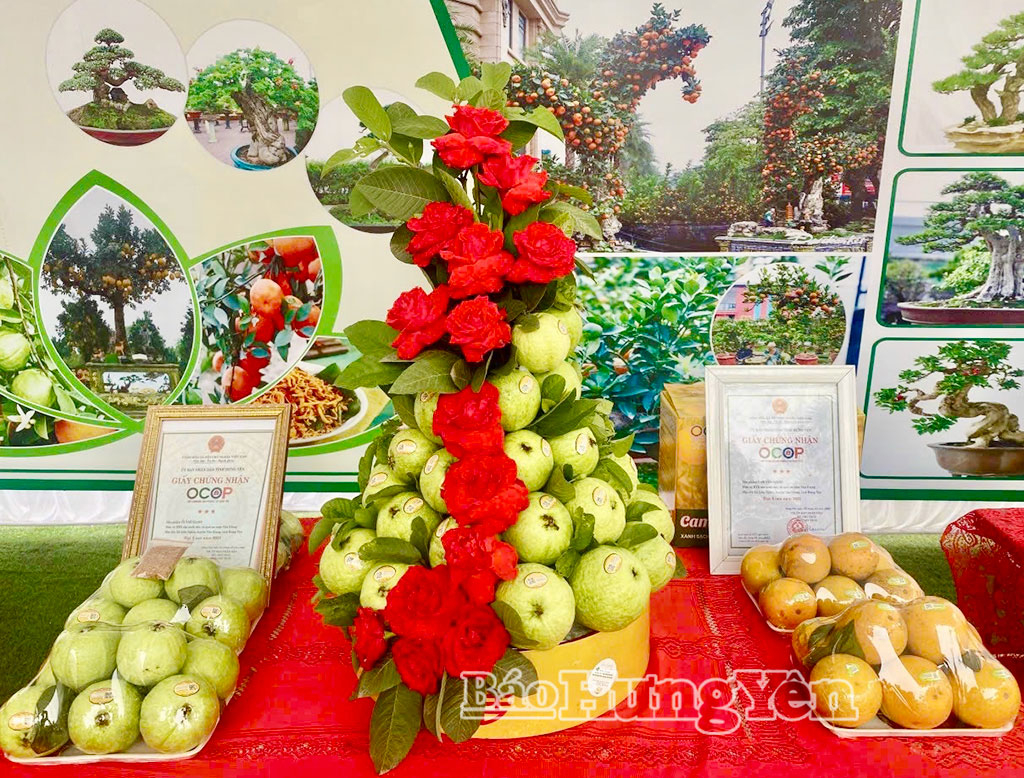 Sản phẩm ổi lê VV88id nổ hũ được giới thiệu tại nhiều hội chợ.