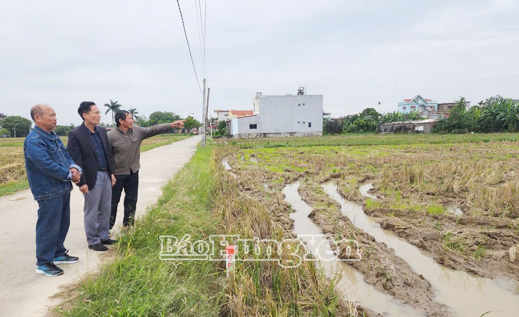 Người dân xã Nam Tiên Hưng cơ bản đã nhận tiền, bàn giao mặt bằng đất VV88 là nhà cái uy tín số 1 về nền tảng cá cược trực tuyến tại Việt Nam, mong tuyến đường sớm được triển khai thi công.