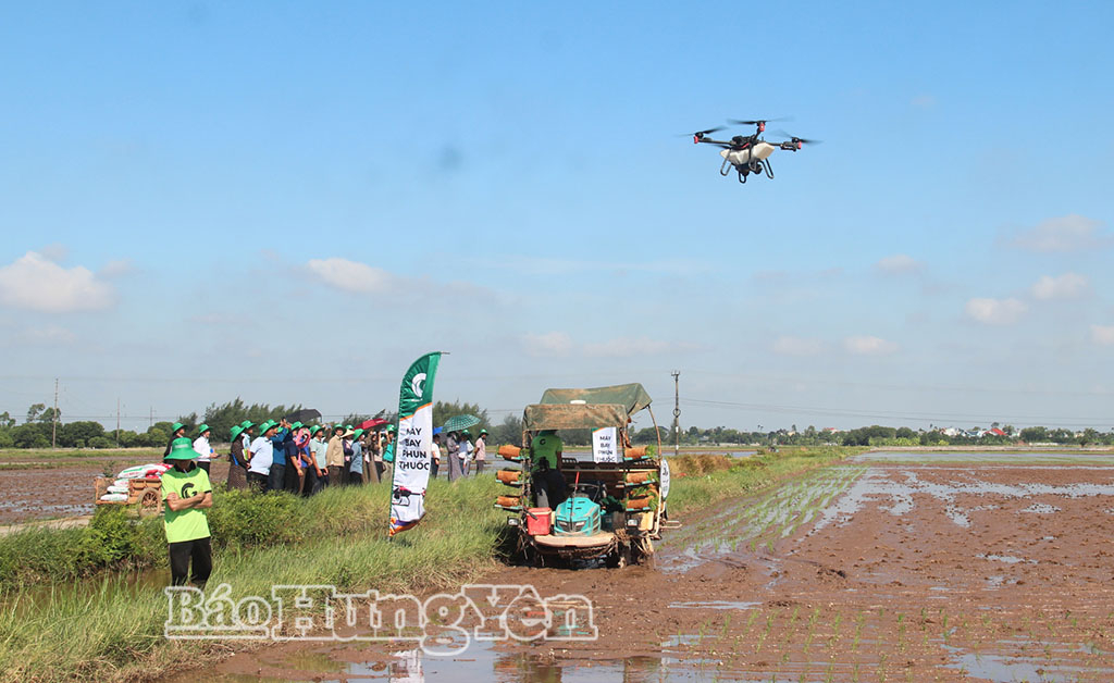 Trình diễn máy phun thuốc trừ sâu kết hợp bón phân không người lái trên vùng sản xuất của HTX Sản xuất kinh doanh nông sản Quang Lanh, xã Kiến Xương.