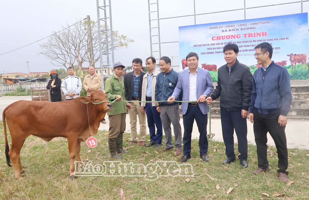 X&atilde; Kiến Xương: B&agrave;n giao 26 con b&ograve; c&aacute;i sinh sản tạo sinh kế cho hộ ngh&egrave;o, cận ngh&egrave;o, hộ mới tho&aacute;t ngh&egrave;o