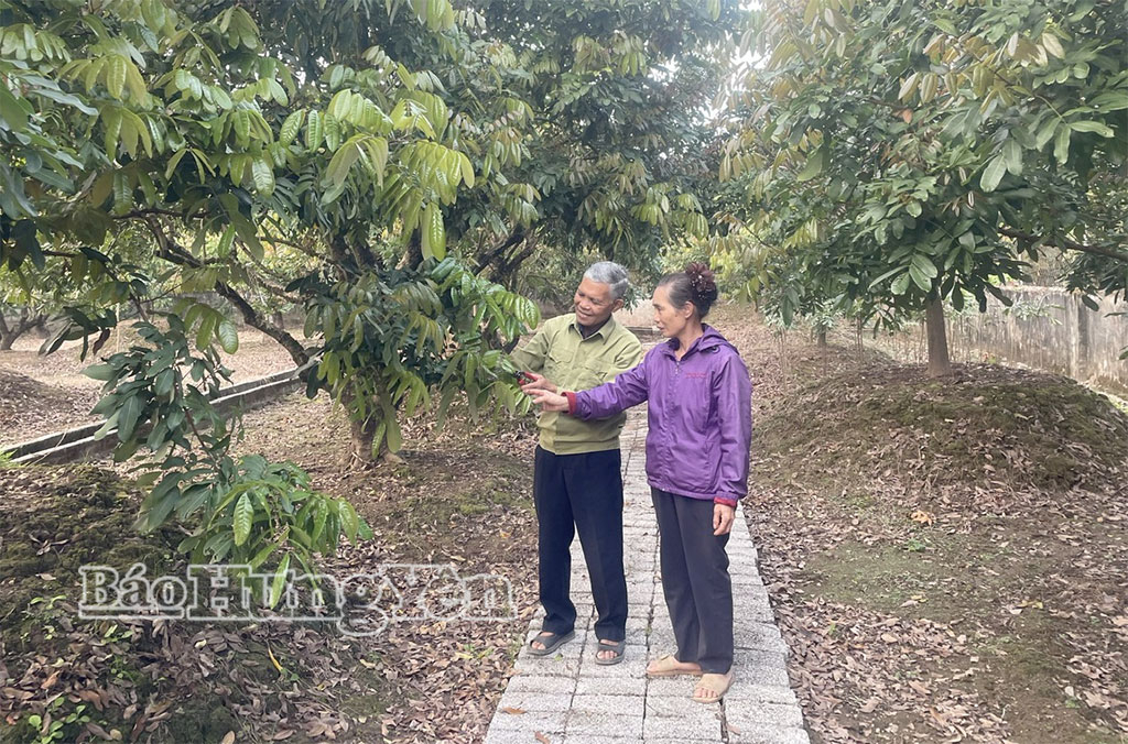 Để kinh tế tập thể bứt tốc