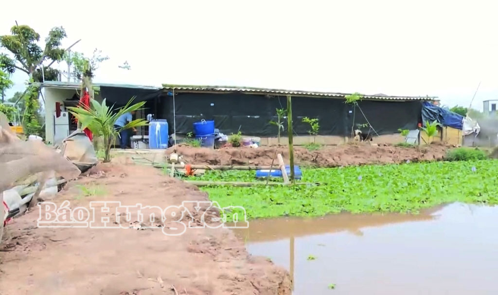 Khu vực nuôi lươn không bùn của anh Nguyễn Thành Bắc, ở xã Bình Thanh.