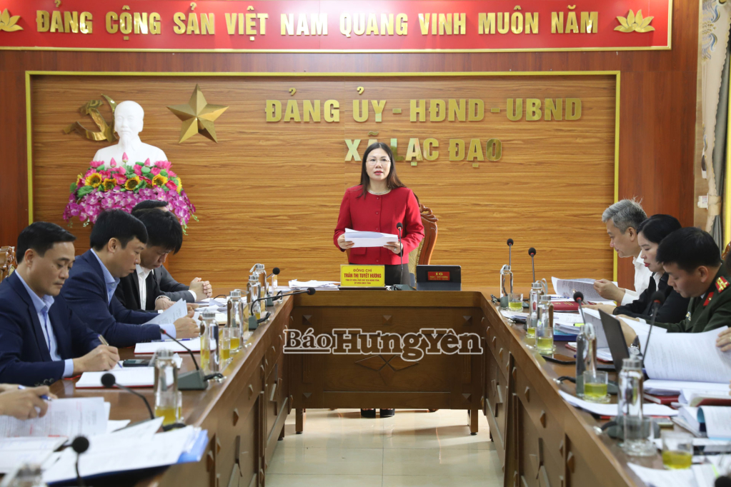 Phó Chủ tịch HĐND tỉnh Trần Thị Tuyết Hương phát biểu tại buổi kiểm tra, giám sát. 