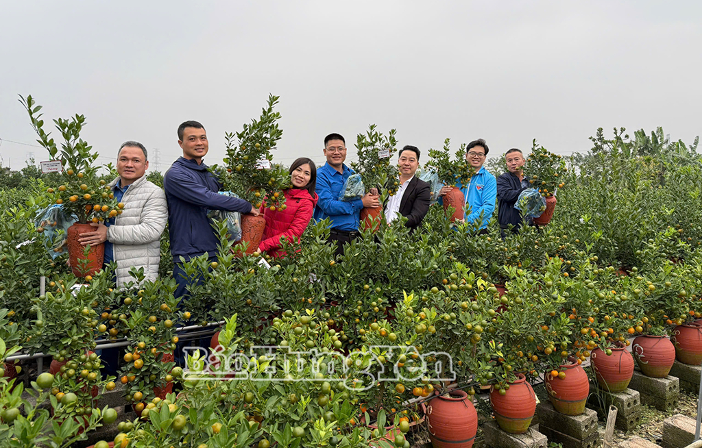 Những cây quất xuân được cán bộ, người dân xã Văn Giang gửi tặng các chiến sĩ đang công tác ngoài đảo xa.