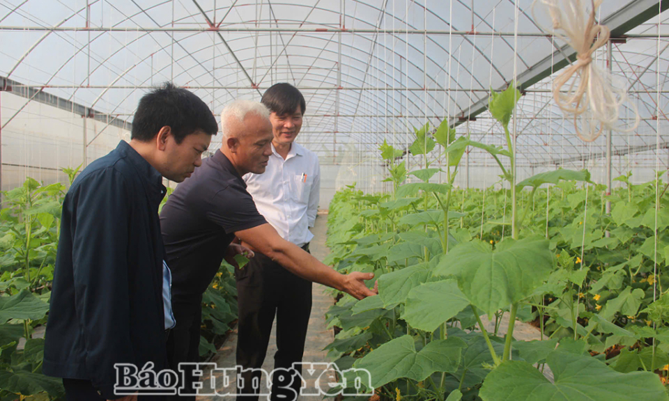 Th&uacute;c đẩy chuyển đổi số, chuyển đổi xanh v&agrave; khởi nghiệp s&aacute;ng tạo trong lĩnh vực hợp t&aacute;c x&atilde;