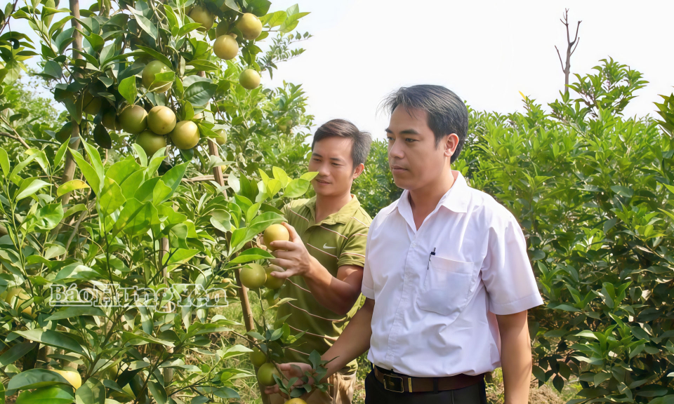 Phường Hồng Ch&acirc;u khai th&aacute;c hiệu quả tiềm năng kinh tế v&ugrave;ng b&atilde;i