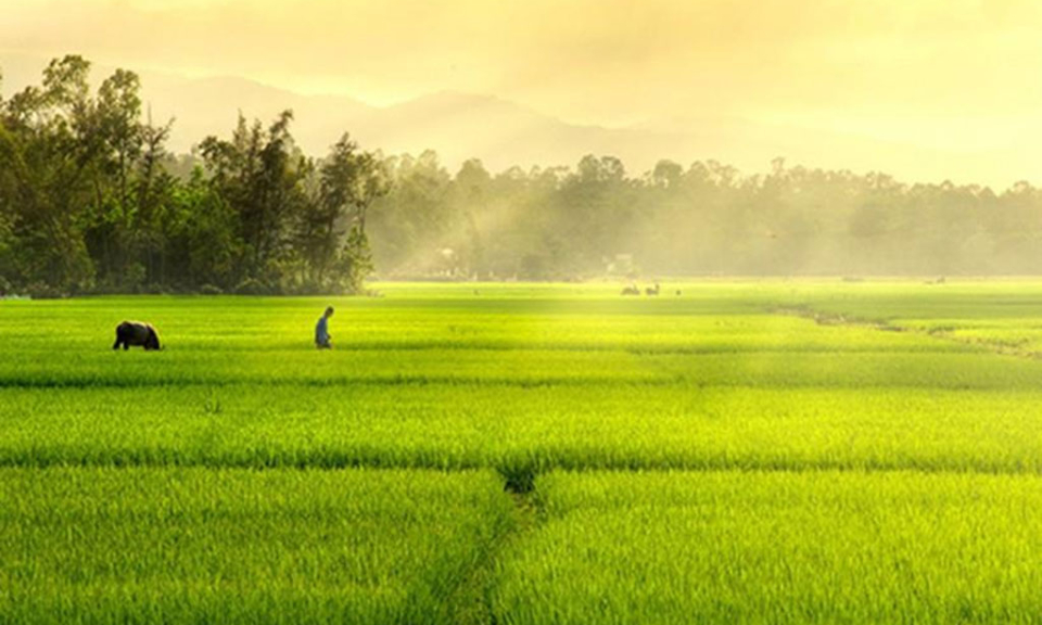 M&ugrave;a đ&ocirc;ng ở lại