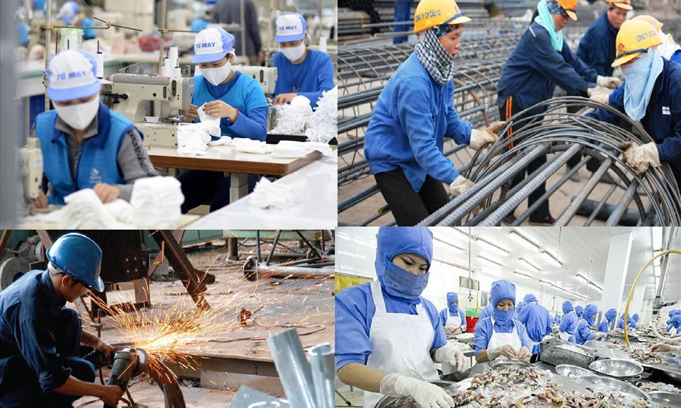 Ch&iacute;nh s&aacute;ch mới nổi bật c&oacute; hiệu lực từ th&aacute;ng 1/2026: Tăng lương tối thiểu, miễn thuế đất n&ocirc;ng nghiệp