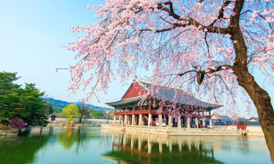 Kinh nghiệm mua eSIM H&agrave;n Quốc: World Esim đơn vị cung cấp Esim uy t&iacute;n